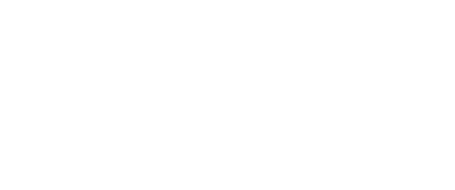 STid logo
