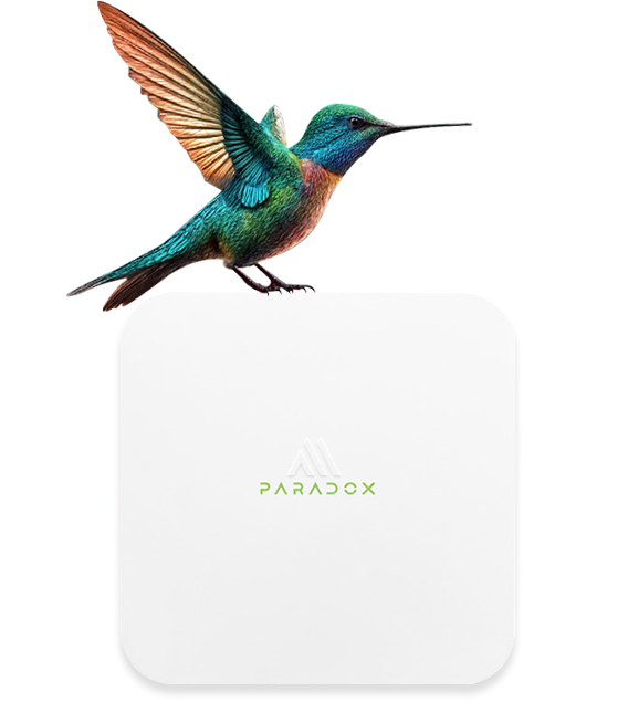Paradox M25